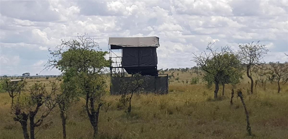 Tanzania Zanzibar And Istanbul