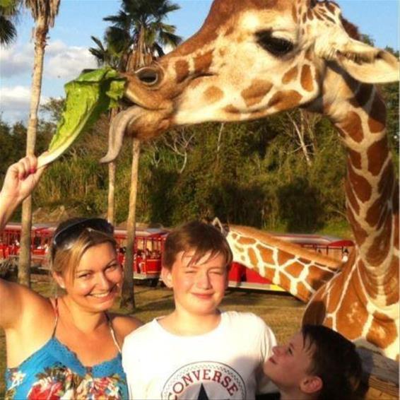 Serengeti Safari At Busch Gardens